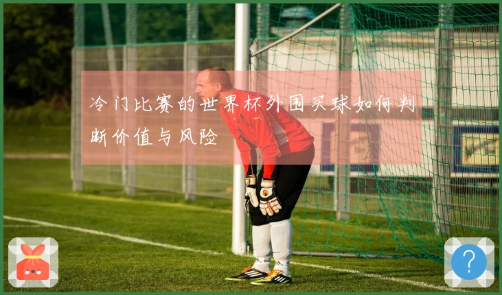 冷门比赛的世界杯外围买球如何判断价值与风险