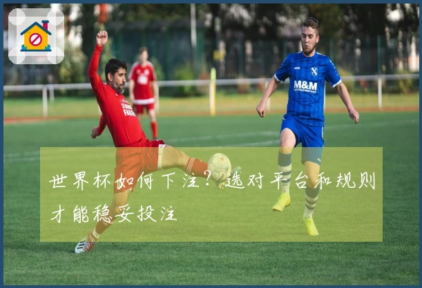 世界杯如何下注？选对平台和规则才能稳妥投注
