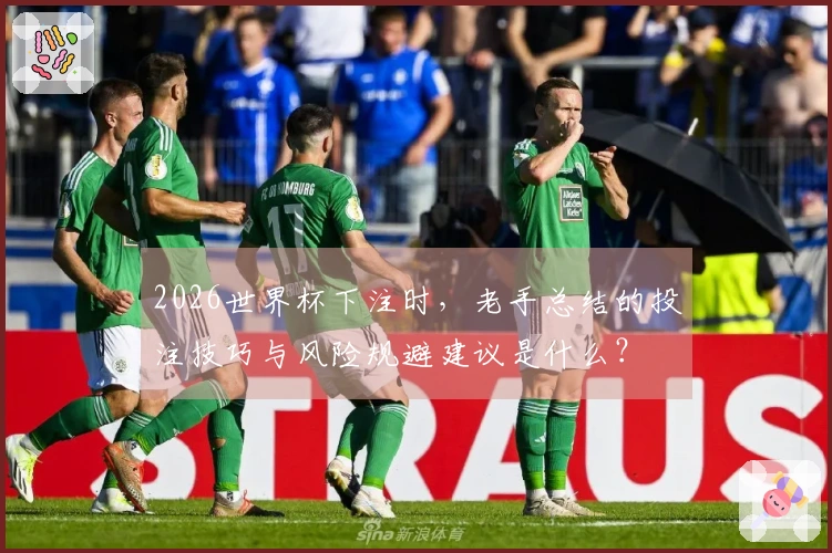 2026世界杯下注时，老手总结的投注技巧与风险规避建议是什么？