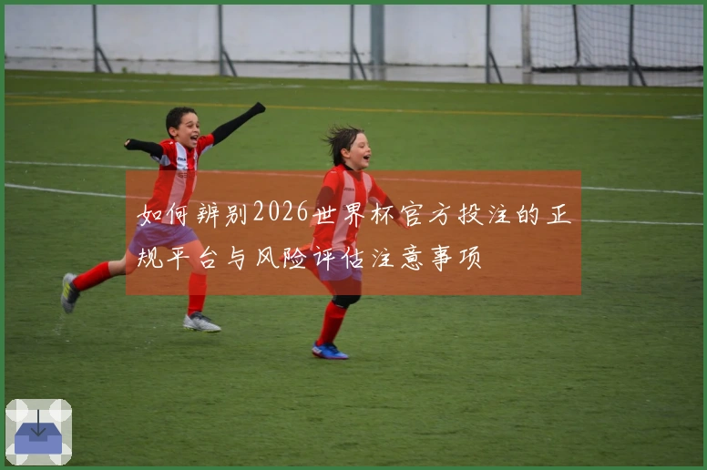 如何辨别2026世界杯官方投注的正规平台与风险评估注意事项