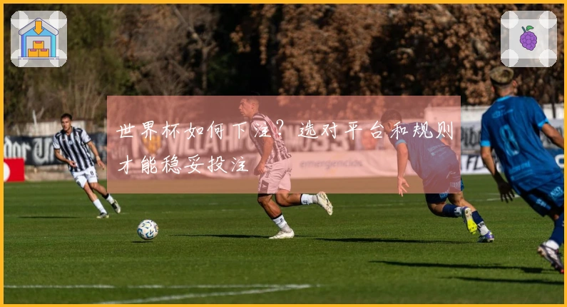 世界杯如何下注？选对平台和规则才能稳妥投注
