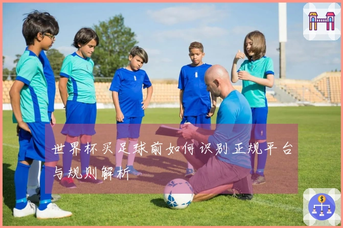 世界杯买足球前如何识别正规平台与规则解析